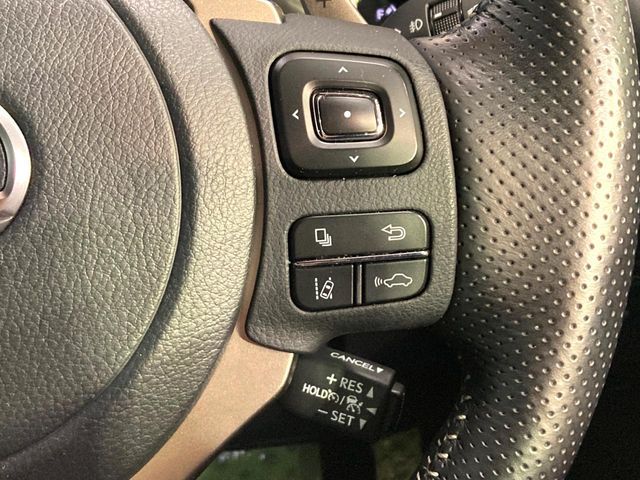 TOYOTA LEXUS NX300 2020