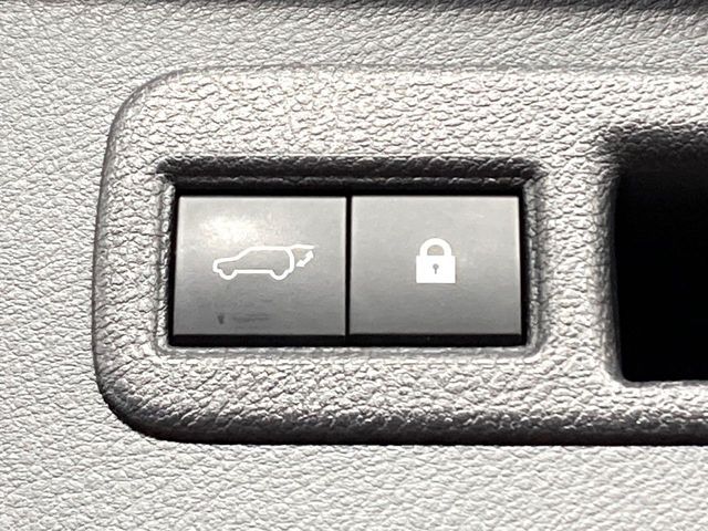 TOYOTA LEXUS NX300 2020