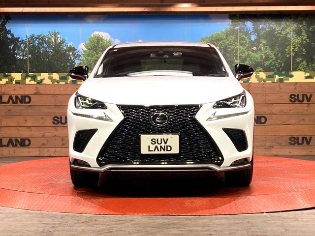 TOYOTA LEXUS NX300 2020