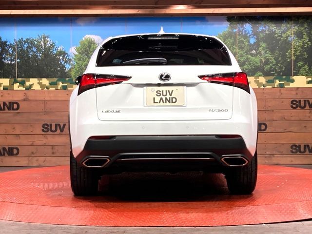 TOYOTA LEXUS NX300 2020