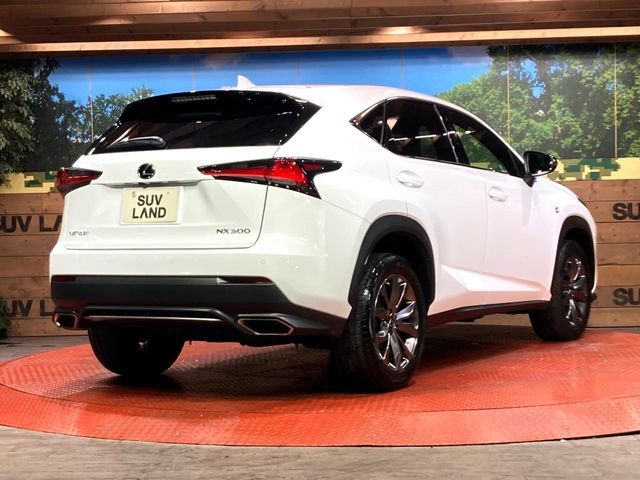 TOYOTA LEXUS NX300 2020