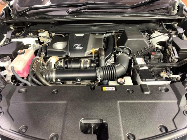 TOYOTA LEXUS NX300 2020