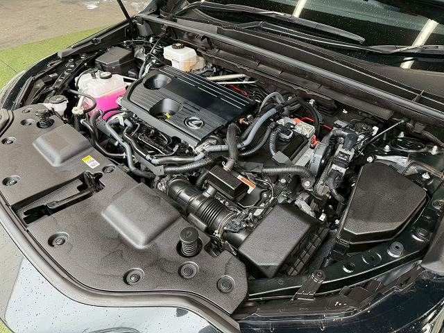 TOYOTA LEXUS NX350h 2023