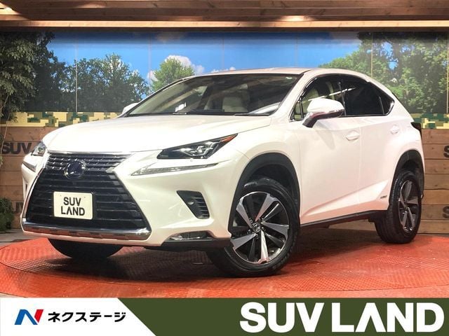 TOYOTA LEXUS NX300h 2019 