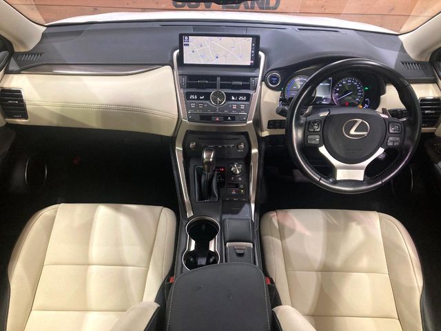 TOYOTA LEXUS NX300h 2019