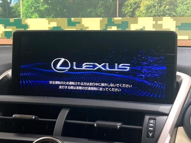 TOYOTA LEXUS NX300h 2019