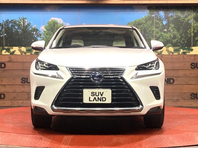 TOYOTA LEXUS NX300h 2019