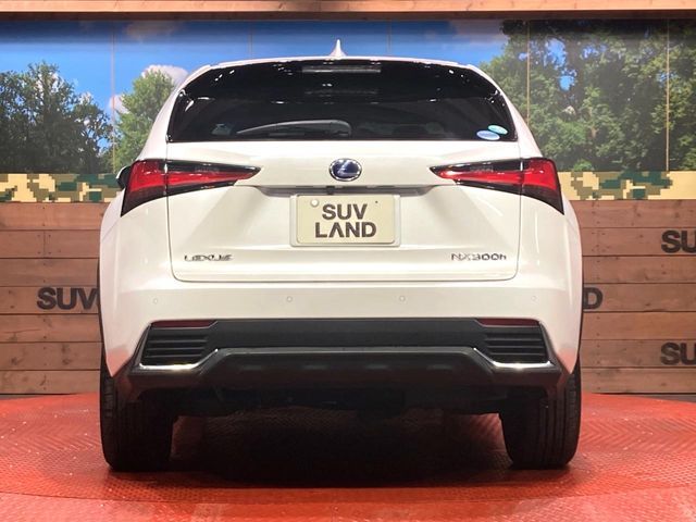 TOYOTA LEXUS NX300h 2019