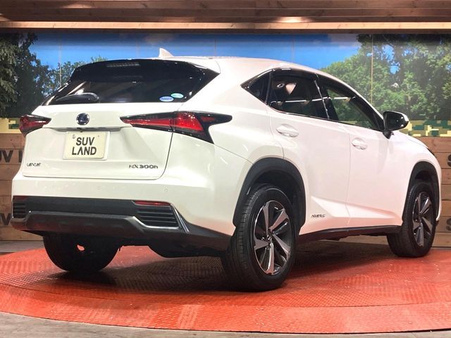 TOYOTA LEXUS NX300h 2019