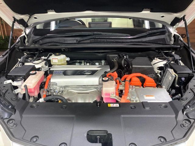 TOYOTA LEXUS NX300h 2019