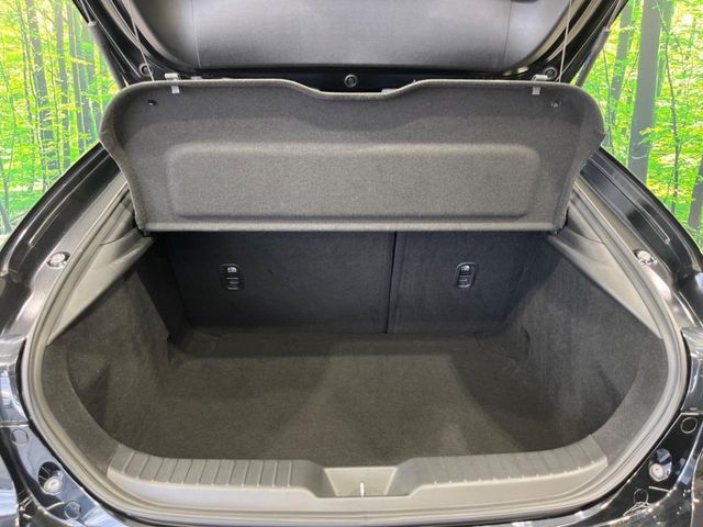 MAZDA MAZDA3 FASTBACK 2019