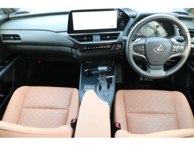 TOYOTA LEXUS UX250h AWD 2022
