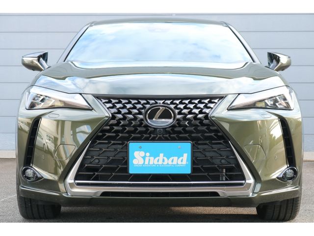 TOYOTA LEXUS UX250h AWD 2022
