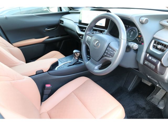 TOYOTA LEXUS UX250h AWD 2022