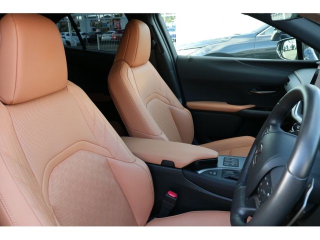 TOYOTA LEXUS UX250h AWD 2022