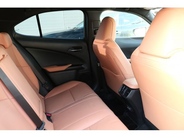 TOYOTA LEXUS UX250h AWD 2022