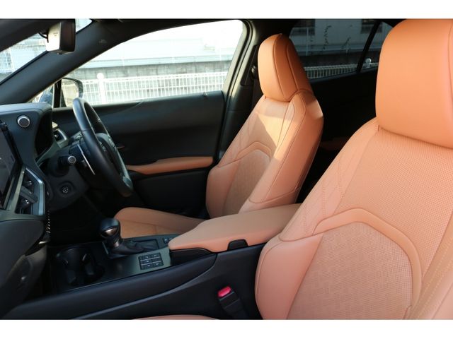 TOYOTA LEXUS UX250h AWD 2022