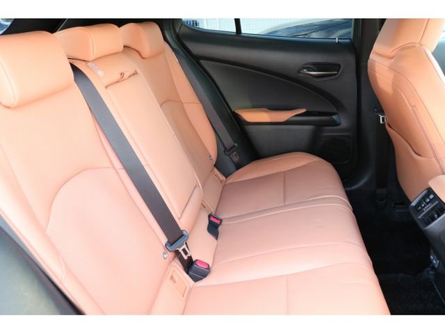 TOYOTA LEXUS UX250h AWD 2022