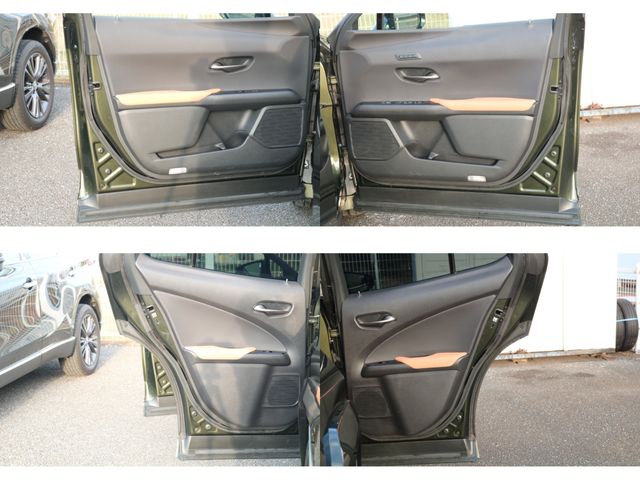 TOYOTA LEXUS UX250h AWD 2022