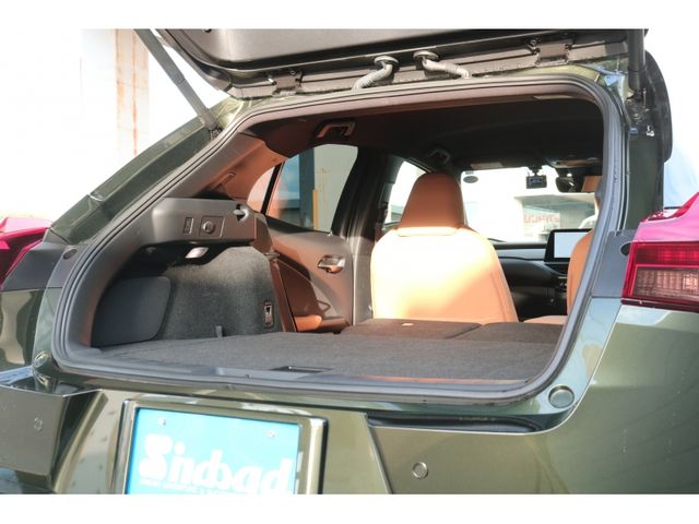 TOYOTA LEXUS UX250h AWD 2022