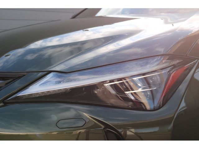 TOYOTA LEXUS UX250h AWD 2022