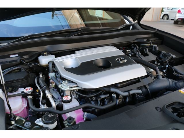 TOYOTA LEXUS UX250h AWD 2022