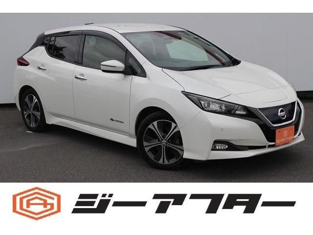 NISSAN LEAF 2018