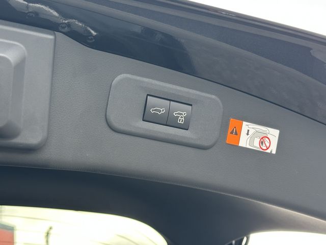 TOYOTA LEXUS NX350h 2023