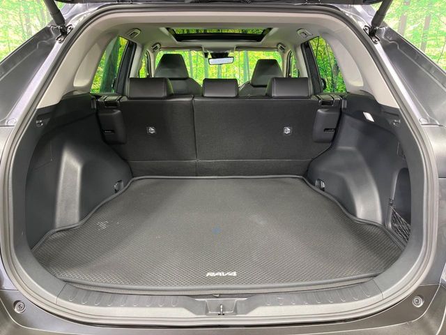 TOYOTA RAV4 4WD 2024