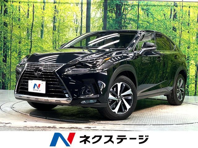 TOYOTA LEXUS NX300 2018