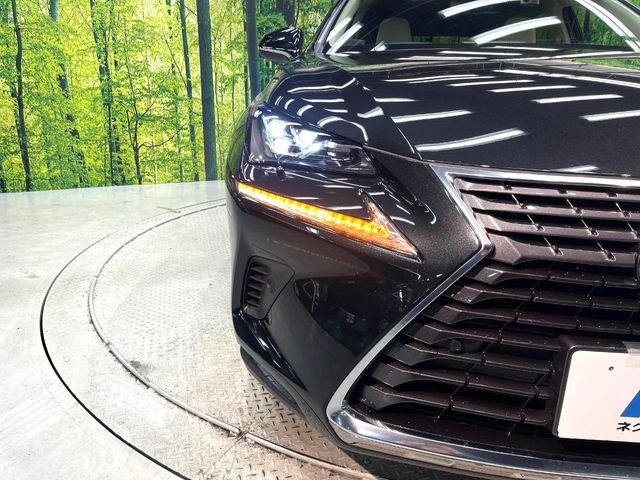TOYOTA LEXUS NX300 2018
