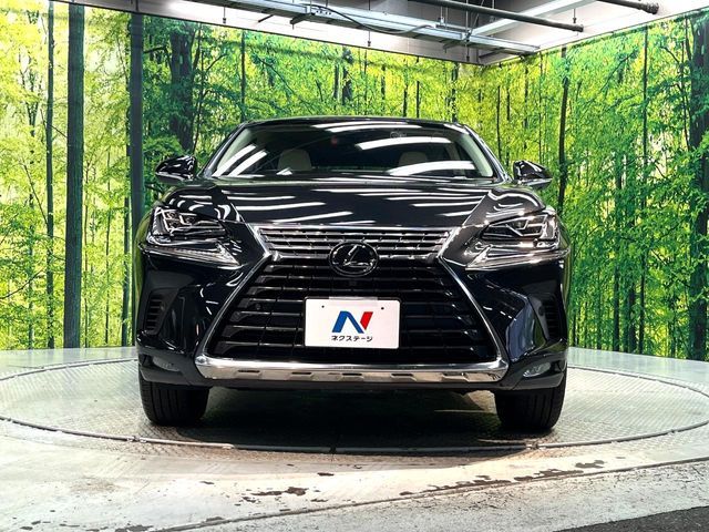 TOYOTA LEXUS NX300 2018