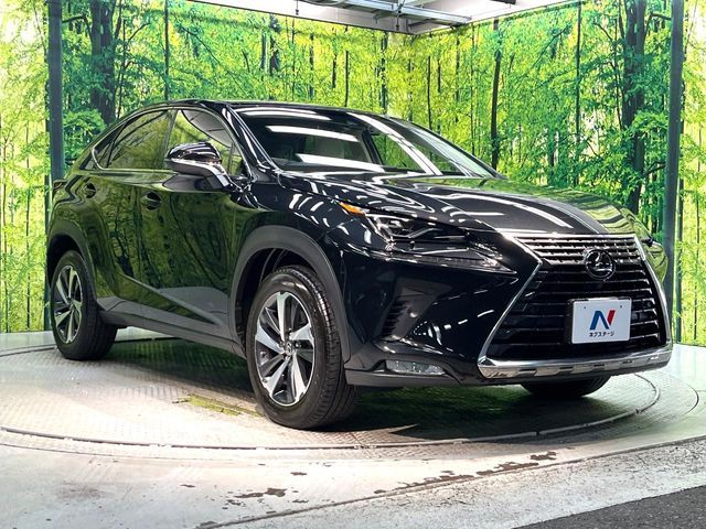 TOYOTA LEXUS NX300 2018