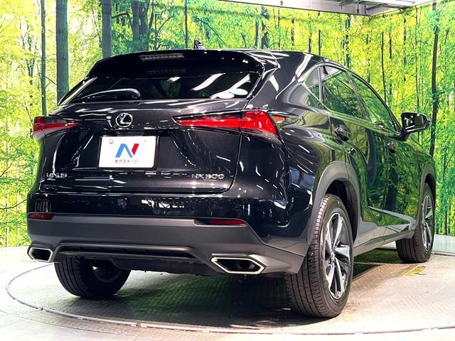 TOYOTA LEXUS NX300 2018