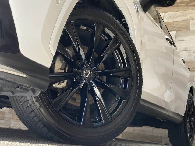 TOYOTA LEXUS NX350h AWD 2023