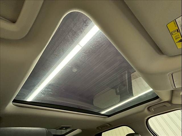 ROVER ROVER DISCOVERY 2018