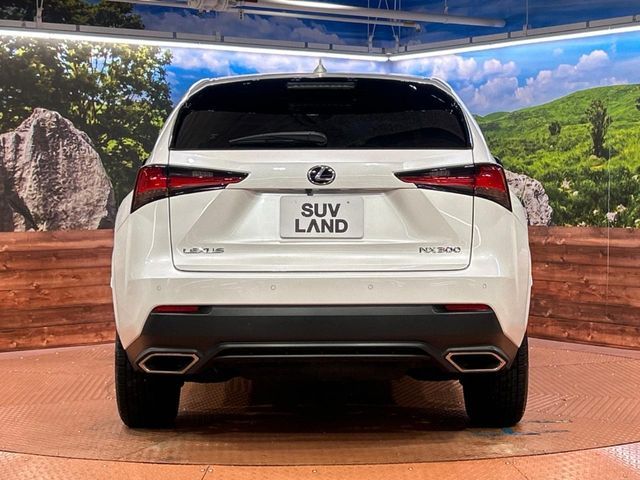 TOYOTA LEXUS NX300 AWD 2020