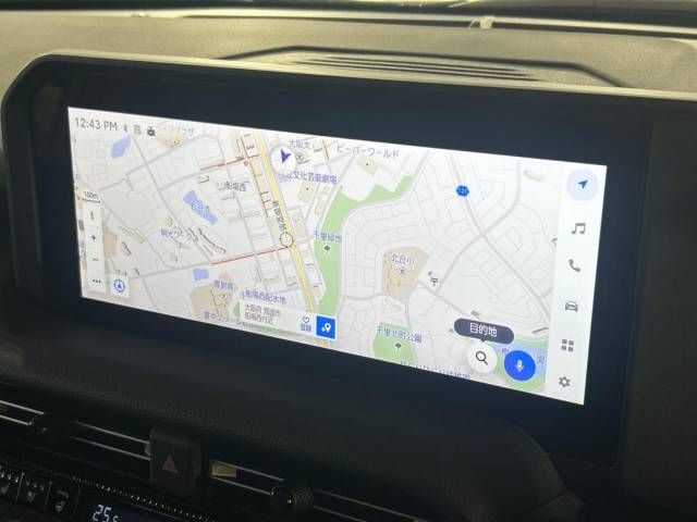 TOYOTA LANDCRUISER 250 2025