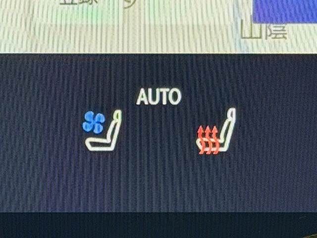 TOYOTA LEXUS NX350h 2022