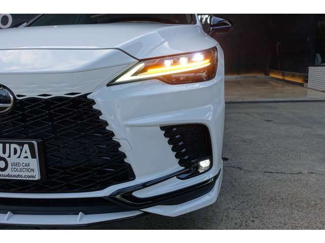 TOYOTA LEXUS RX500h 2023