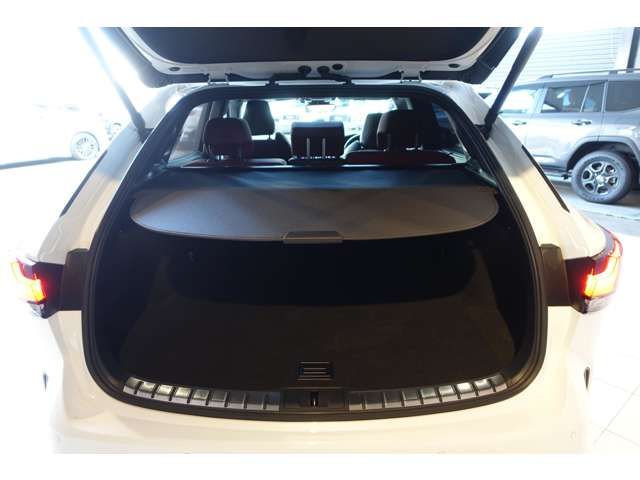 TOYOTA LEXUS RX500h 2023