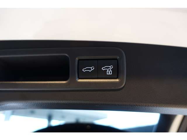 TOYOTA LEXUS RX500h 2023