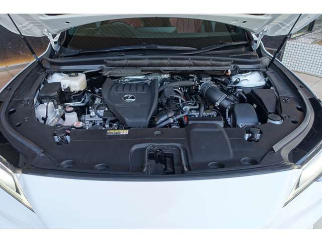 TOYOTA LEXUS RX500h 2023