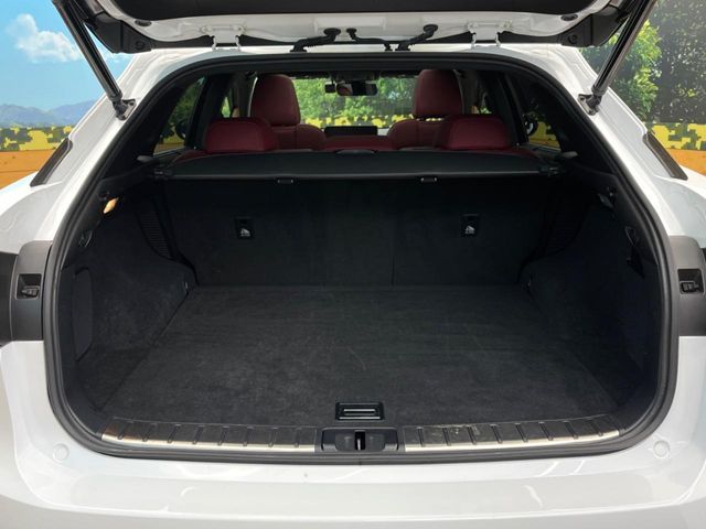 TOYOTA LEXUS RX450h AWD 2017