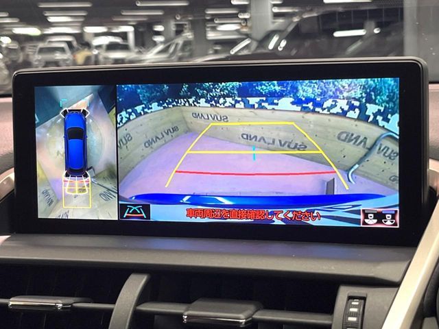 TOYOTA LEXUS NX300h AWD 2019