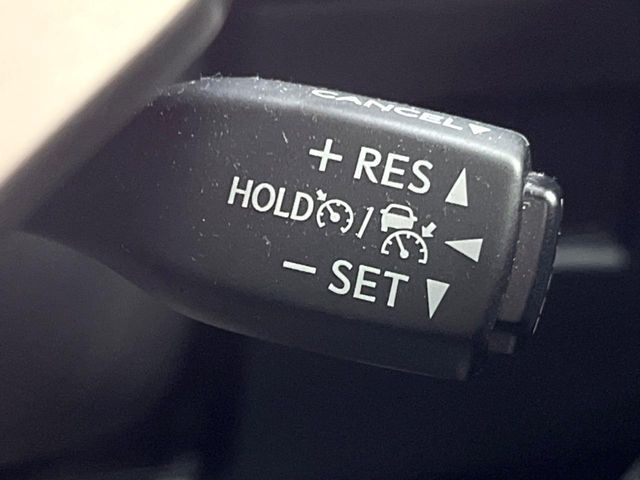 TOYOTA LEXUS NX300h AWD 2019