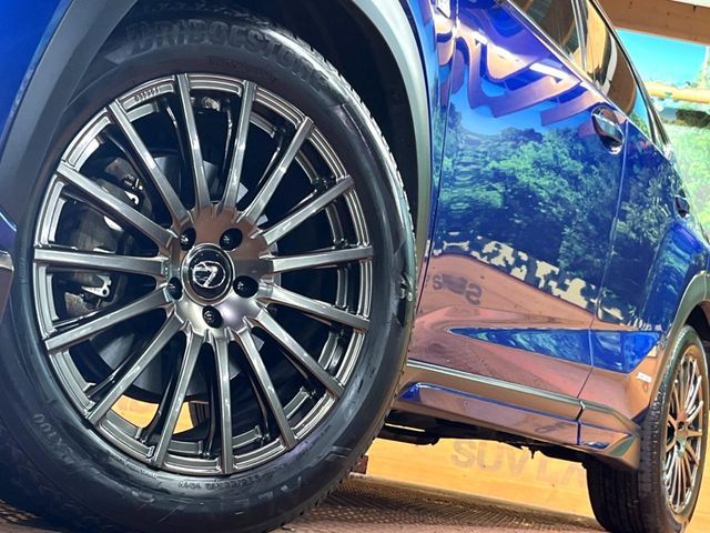 TOYOTA LEXUS NX300h AWD 2019