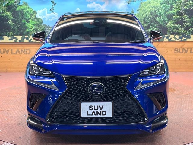 TOYOTA LEXUS NX300h AWD 2019