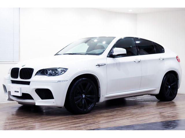 BMW BMW X6 M 2011