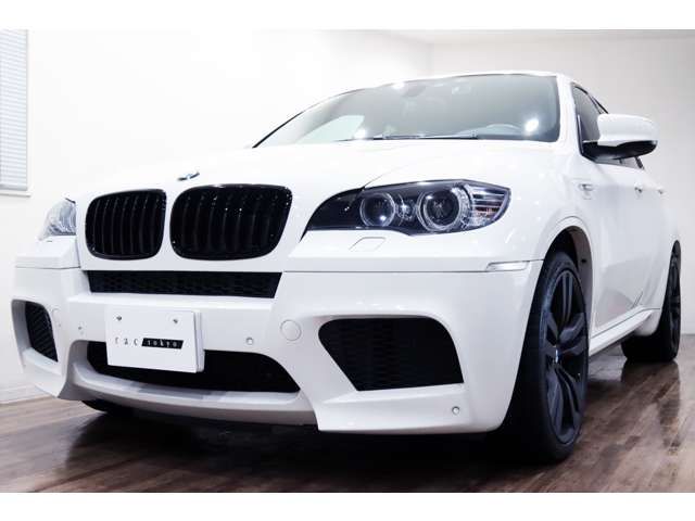 BMW BMW X6 M 2011